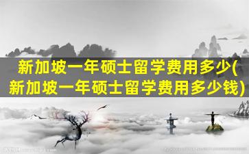 新加坡一年硕士留学费用多少(新加坡一年硕士留学费用多少钱)