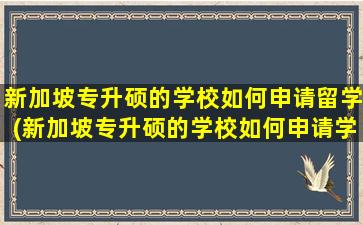 新加坡专升硕的学校如何申请留学(新加坡专升硕的学校如何申请学位)