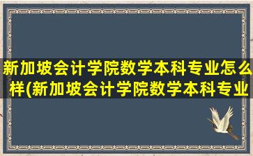 新加坡会计学院数学本科专业怎么样(新加坡会计学院数学本科专业排名)