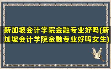 新加坡会计学院金融专业好吗(新加坡会计学院金融专业好吗女生)