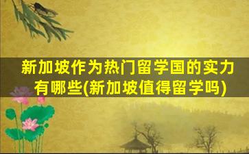 新加坡作为热门留学国的实力有哪些(新加坡值得留学吗)