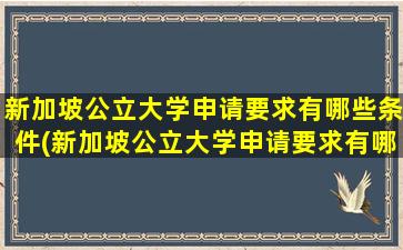 新加坡公立大学申请要求有哪些条件(新加坡公立大学申请要求有哪些内容)