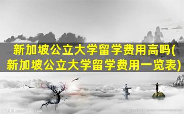 新加坡公立大学留学费用高吗(新加坡公立大学留学费用一览表)