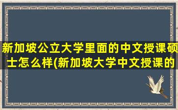 新加坡公立大学里面的中文授课硕士怎么样(新加坡大学中文授课的学校)