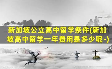 新加坡公立高中留学条件(新加坡高中留学一年费用是多少呢-)