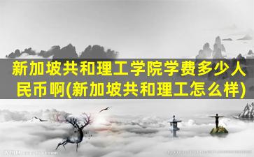 新加坡共和理工学院学费多少人民币啊(新加坡共和理工怎么样)