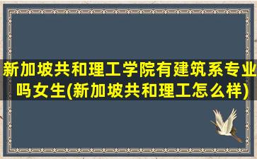 新加坡共和理工学院有建筑系专业吗女生(新加坡共和理工怎么样)