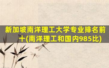 新加坡南洋理工大学专业排名前十(南洋理工和国内985比)