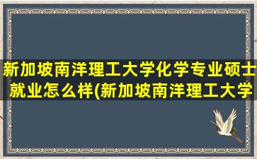 新加坡南洋理工大学化学专业硕士就业怎么样(新加坡南洋理工大学优势专业)