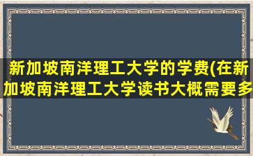 新加坡南洋理工大学的学费(在新加坡南洋理工大学读书大概需要多少钱)