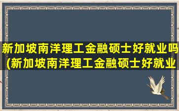 新加坡南洋理工金融硕士好就业吗(新加坡南洋理工金融硕士好就业吗)