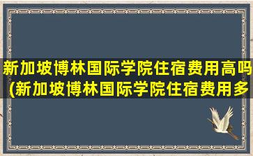 新加坡博林国际学院住宿费用高吗(新加坡博林国际学院住宿费用多少钱)