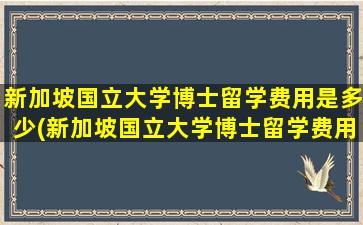 新加坡国立大学博士留学费用是多少(新加坡国立大学博士留学费用及申请)