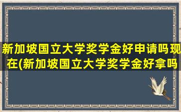 新加坡国立大学奖学金好申请吗现在(新加坡国立大学奖学金好拿吗)