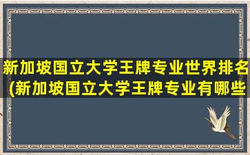 新加坡国立大学王牌专业世界排名(新加坡国立大学王牌专业有哪些)