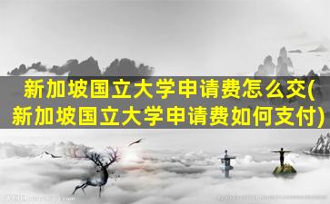 新加坡国立大学申请费怎么交(新加坡国立大学申请费如何支付)