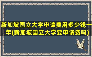 新加坡国立大学申请费用多少钱一年(新加坡国立大学要申请费吗)