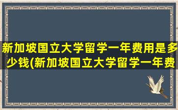 新加坡国立大学留学一年费用是多少钱(新加坡国立大学留学一年费用多少)