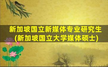 新加坡国立新媒体专业研究生(新加坡国立大学媒体硕士)