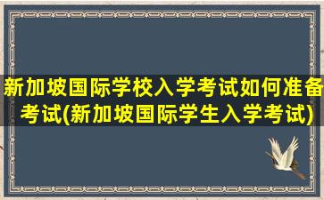 新加坡国际学校入学考试如何准备考试(新加坡国际学生入学考试)