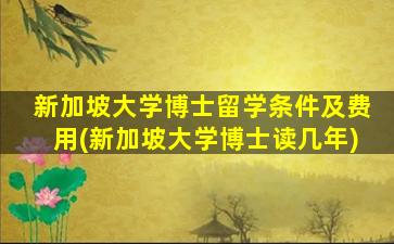 新加坡大学博士留学条件及费用(新加坡大学博士读几年)