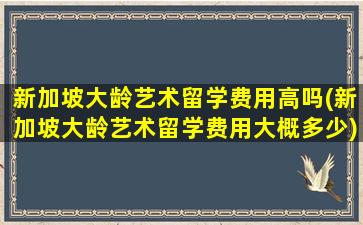 新加坡大龄艺术留学费用高吗(新加坡大龄艺术留学费用大概多少)