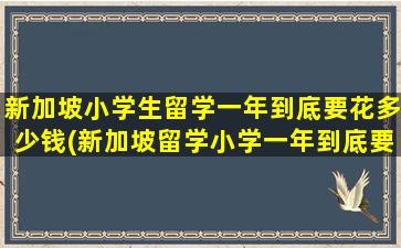 新加坡小学生留学一年到底要花多少钱(新加坡留学小学一年到底要花多少钱)