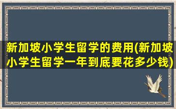 新加坡小学生留学的费用(新加坡小学生留学一年到底要花多少钱)