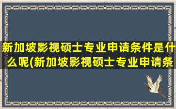 新加坡影视硕士专业申请条件是什么呢(新加坡影视硕士专业申请条件是什么样的)