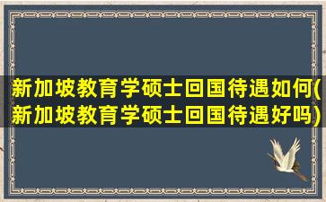 新加坡教育学硕士回国待遇如何(新加坡教育学硕士回国待遇好吗)