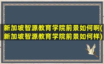 新加坡智源教育学院前景如何啊(新加坡智源教育学院前景如何样)