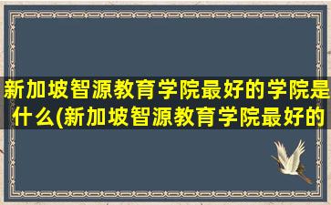 新加坡智源教育学院最好的学院是什么(新加坡智源教育学院最好的学院是哪一个)