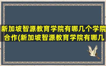 新加坡智源教育学院有哪几个学院合作(新加坡智源教育学院有哪几个学院专业)