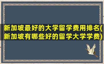 新加坡最好的大学留学费用排名(新加坡有哪些好的留学大学学费)