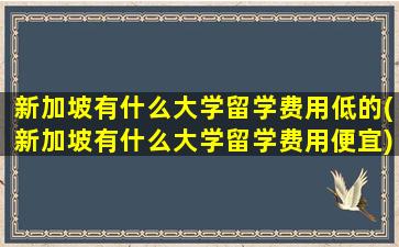 新加坡有什么大学留学费用低的(新加坡有什么大学留学费用便宜)