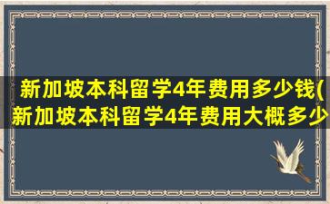 新加坡本科留学4年费用多少钱(新加坡本科留学4年费用大概多少)