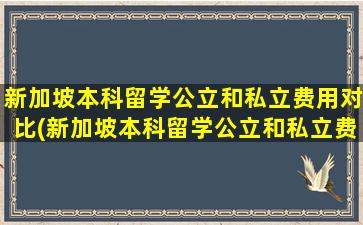 新加坡本科留学公立和私立费用对比(新加坡本科留学公立和私立费用差多少)