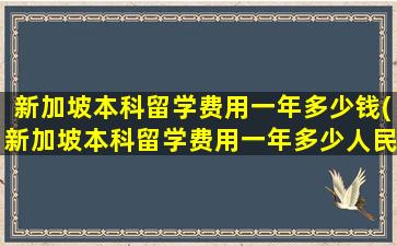 新加坡本科留学费用一年多少钱(新加坡本科留学费用一年多少人民币)