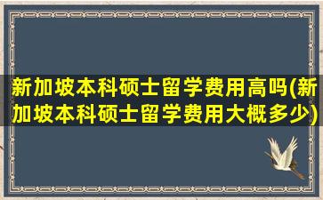 新加坡本科硕士留学费用高吗(新加坡本科硕士留学费用大概多少)