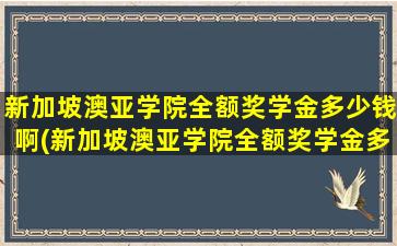 新加坡澳亚学院全额奖学金多少钱啊(新加坡澳亚学院全额奖学金多少钱一个月)