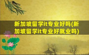 新加坡留学it专业好吗(新加坡留学it专业好就业吗)