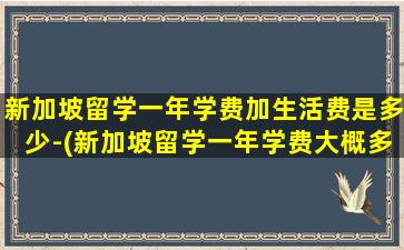 新加坡留学一年学费加生活费是多少-(新加坡留学一年学费大概多少钱)