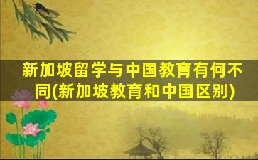 新加坡留学与中国教育有何不同(新加坡教育和中国区别)