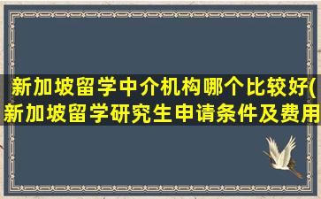 新加坡留学中介机构哪个比较好(新加坡留学研究生申请条件及费用)