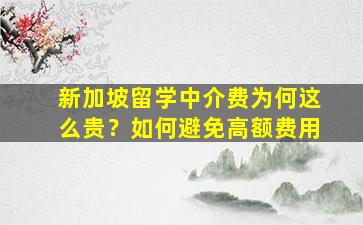 新加坡留学中介费为何这么贵？如何避免高额费用