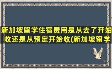 新加坡留学住宿费用是从去了开始收还是从预定开始收(新加坡留学住宿费用高吗)