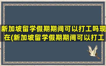 新加坡留学假期期间可以打工吗现在(新加坡留学假期期间可以打工吗)