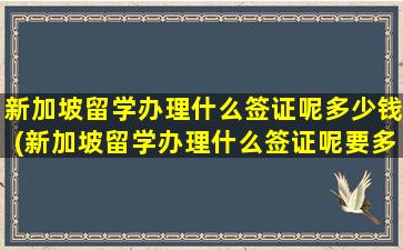 新加坡留学办理什么签证呢多少钱(新加坡留学办理什么签证呢要多久)