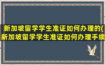 新加坡留学学生准证如何办理的(新加坡留学学生准证如何办理手续)