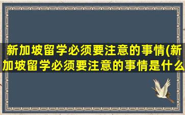 新加坡留学必须要注意的事情(新加坡留学必须要注意的事情是什么)